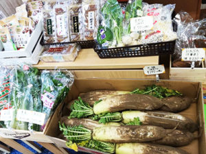 泥付き大根、かぶなどのお野菜